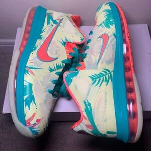 Nike LeBron 9 Low Palmer